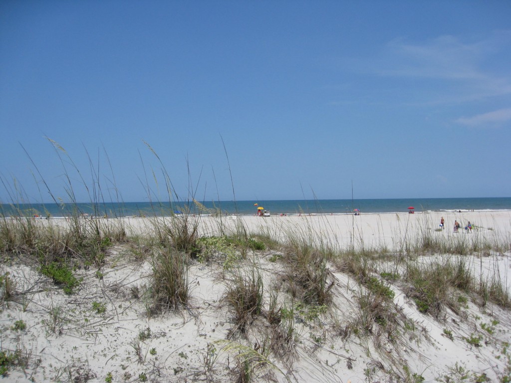 Anastasia Island Beach Access Points  Locals Guide St Augustine