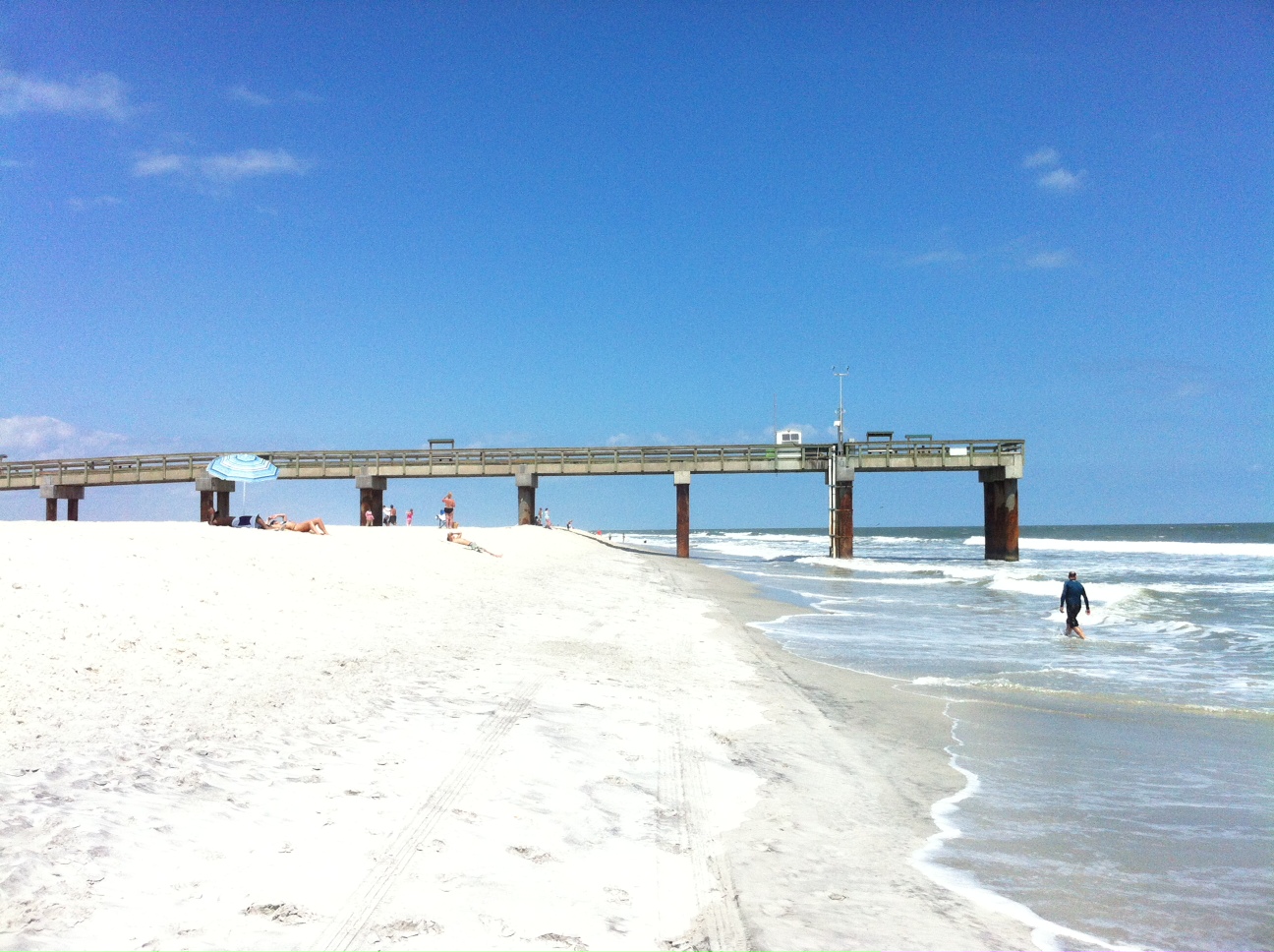 are dogs allowed on st augustine beach