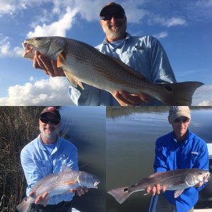 Inshore Fishing Report and Advice for St Augustine, FL